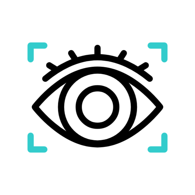 Vision Icon